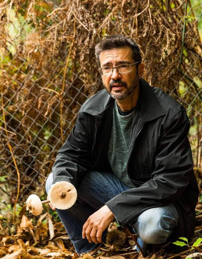 7 Incredible Places for Mushroom Hunting in Greece - Gastronomy Tours tsagarada2 - Gastronomy Tours